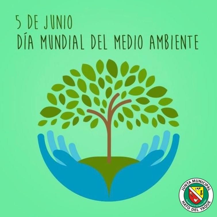 Hoy 5 de Junio se celebra el día mundial del Medio Ambiente.