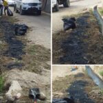 ¡Hato del Yaque limpio y organizado!