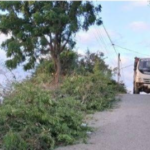 Continuamos Embelleciendo Nuestros Sectores.