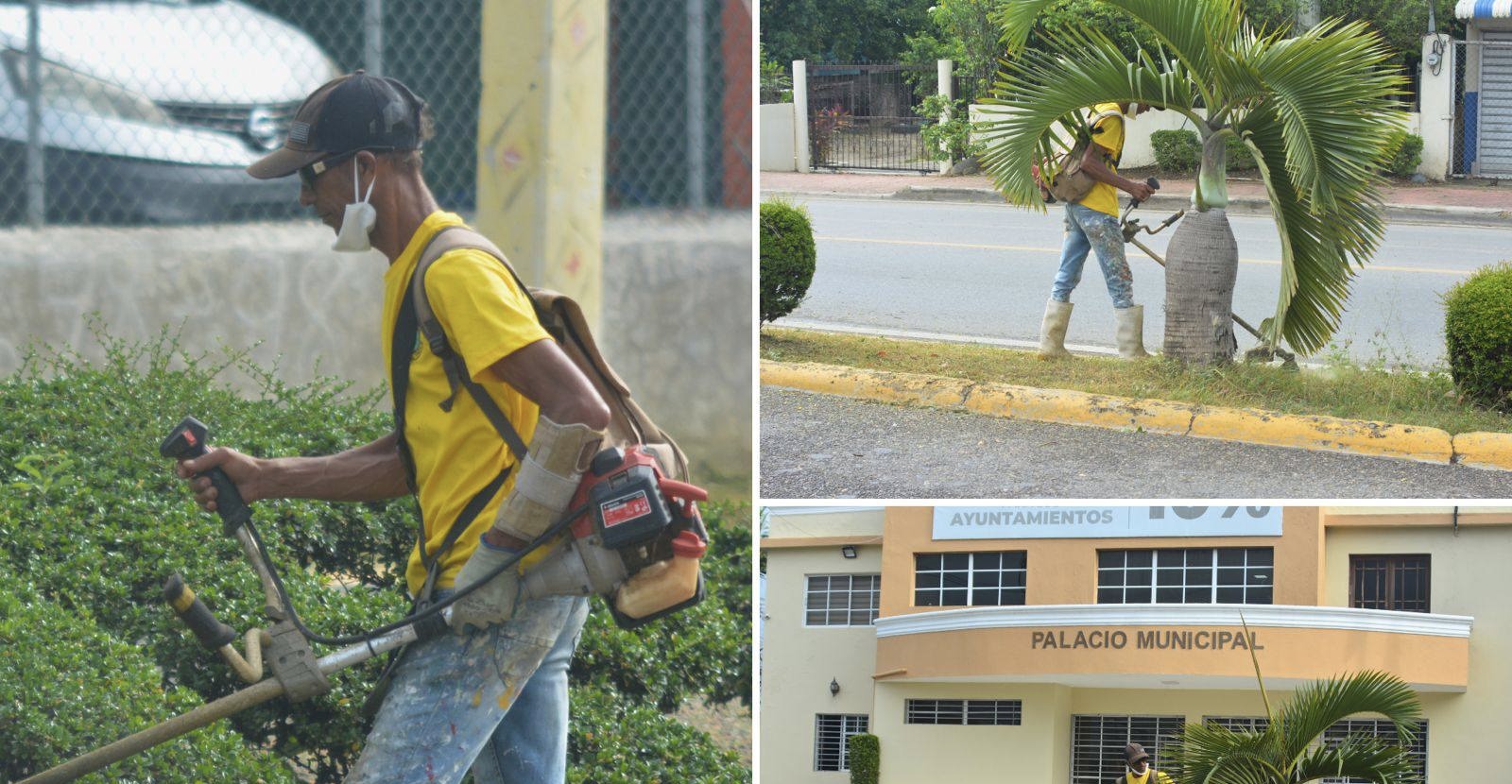 Departamento de Ornato continúa trabajando por una comunidad más limpia y organizada.